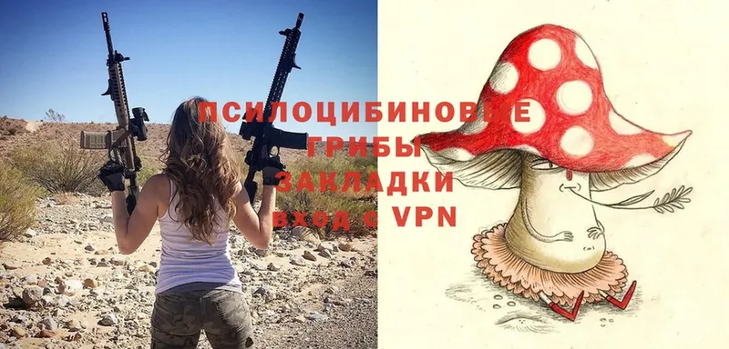 Галлюциногенные грибы MAGIC MUSHROOMS  Новозыбков 